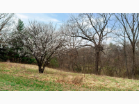 Listing Image #13